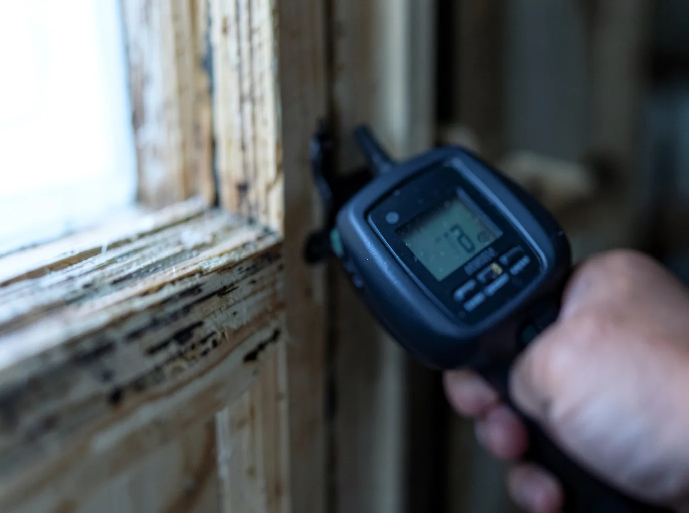 Moisture Inspection And Documentation in Cammal, PA